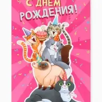 Открытка поздравительная с карманом для денег &laquo;С Днём рождения&raquo;, коты, 19&times;29 см