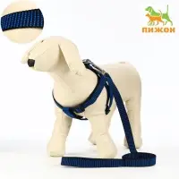 Шлейка с поводком, рельефная, поводок 120&times;2 см, ОГ 44-50 см, синяя, чёрная