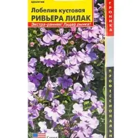 Семена цветов Лобелия кустовая &laquo;Ривьера Лилак&raquo;, драже, 8 шт., однолетник, &laquo;Агроника&raquo;