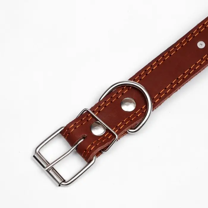 Ошейник &laquo;Строгий шип&raquo;, 70&times;3.5 см, ОШ 45-60 см, кожа, коричневый