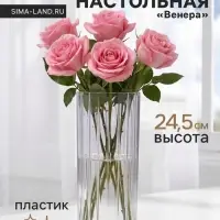 Ваза для цветов &laquo;Венера&raquo;, полосы, 24.5&times;9.5 см, пластик, прозрачная