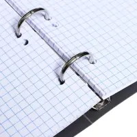 Тетрадь на кольцах Calligrata A5, 80 листов, в клетку, пластиковая обложка, блок офсет, серая