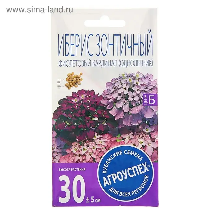 Семена цветов Иберис "Фиолетовый кардинал", 0,2г
