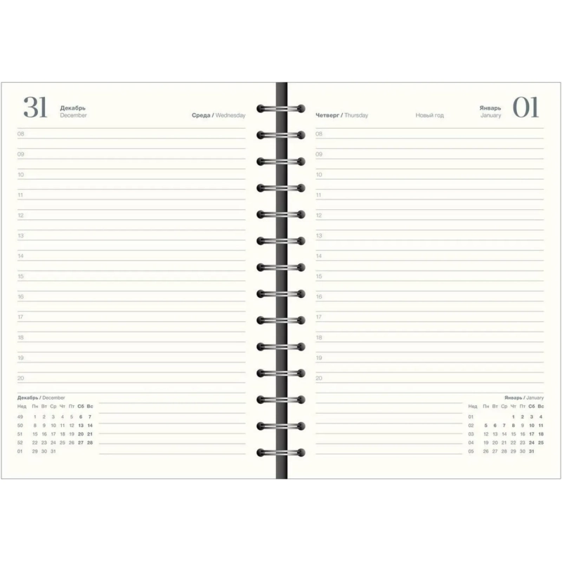 Ежедневник датированный 2026 IF 14х20см 160л, на спир, Basic I1751emb/black