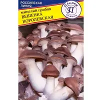 Мицелий грибов Вешенка &laquo;Королевская&raquo;, 12 шт., &laquo;Престиж семена&raquo;