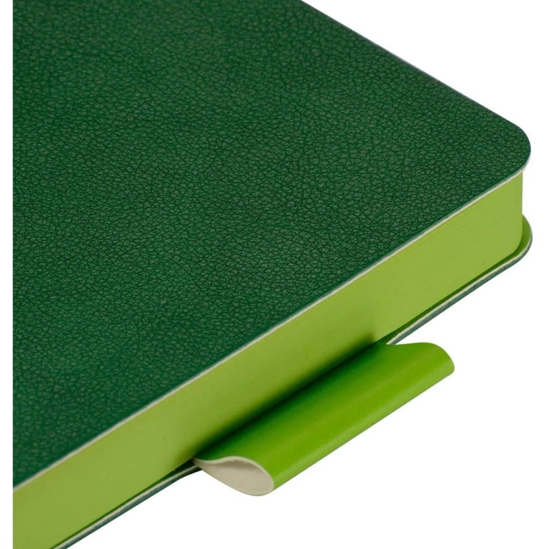 Ежедневник недатированный А5 BOSTON(ЗЕЛЕНЫЙ) 3-228/07