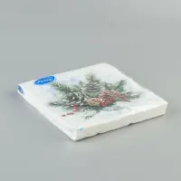 Салфетки новогодние бумажные &laquo;Морозная мелодия&raquo;, 33&times;33, 2 слоя, 20 шт.