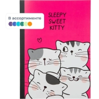 Тетрадь общая So Many Cats 60л, B5, блок бел, клетка,в ассортимент