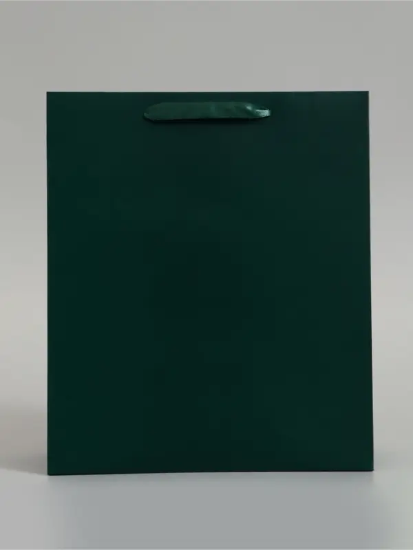 Пакет подарочный ламинированный, упаковка, &laquo;Изумрудный&raquo;, M 26&times;30&times;9 см
