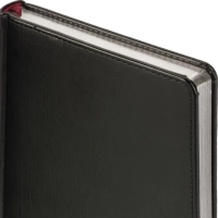 Ежедневник недатированный А5 Sidney Nebraska,черн,сереб.обр,272стр 3-128/16