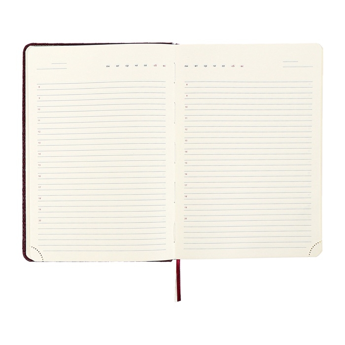 Ежедневник недатированный A5 136 листов кожзам deVENTE. Clair, твердая обложка с поролоном, перфорация, ляссе, блок 70, бордовый