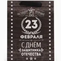 Пакет подарочный ламинированный, упаковка, &laquo;С 23 февраля&raquo;, MS 18&times;23&times;10 см