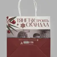 Пакет подарочный &laquo;Скандал&raquo;, Мосфильм, 22&times;22&times;11 см, крафт