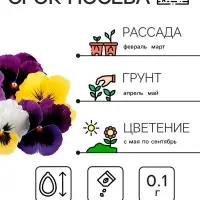 Семена цветов Виола "Шведские гиганты", 0,1 г
