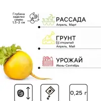 Семена Репа Тещин секрет (УД) Е/П , Е/П,  0,25 г.