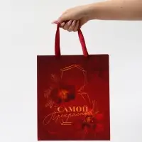 Набор подарочных пакетов &laquo;Весны в душе&raquo;, 27 &times; 23 &times; 11,5 см
