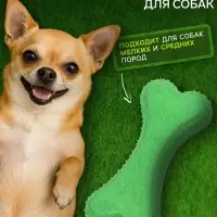Жевательная игрушка для собак &laquo;Объемная кость с лапками&raquo;, 12 с, TPR, зелёная