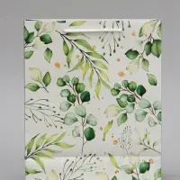 Пакет подарочный ламинированный, упаковка, Present for you, ML 21&times;25&times;8 см