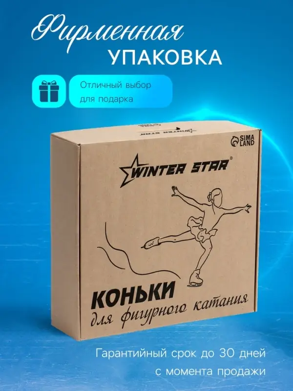 Коньки фигурные Winter Star Basic, размер 38