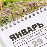 Календарь настенный квартальный 2026 &laquo;Лошадь с котенком&raquo;, 30&times;46 см