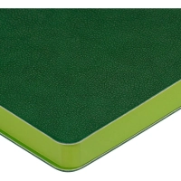 Ежедневник недатированный А5 BOSTON(ЗЕЛЕНЫЙ) 3-228/07