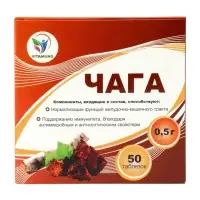 Таблетки Чага Vitamuno, при язвенной болезни и гастрите, 50 таблеток по 500 мг