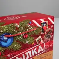 Пакет‒коробка подарочный &laquo;Новогодняя посылка&raquo;, 28&times;20&times;13 см