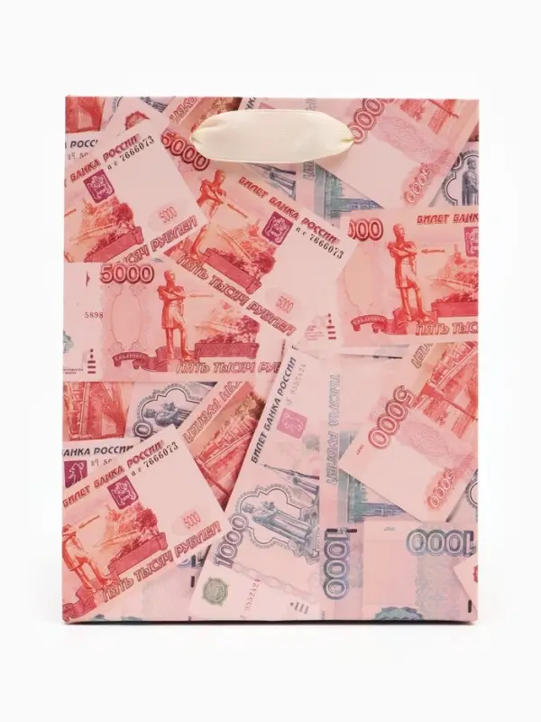 Пакет подарочный &laquo;Деньги&raquo;, 12&times;15&times;5.5 см