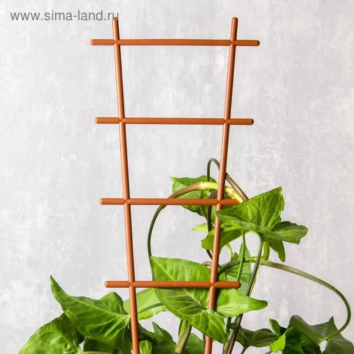 Шпалера, 56 × 19 × 0.5 см, пластик, цвет МИКС, «Лесенка» Шпалера, 56 × 19 × 0.5 см, пластик, цвет МИКС, «Лесенка»