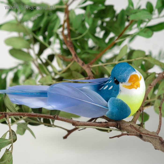 Птичка для декора и флористики, на прищепке, МИКС, пластиковая, 1шт., 8 х 8 см Птичка для декора и флористики, на прищепке, МИКС, пластиковая, 1шт., 8 х 8 см