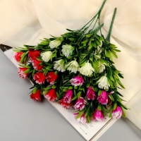 Букет "Арктотис" 25 см, микс