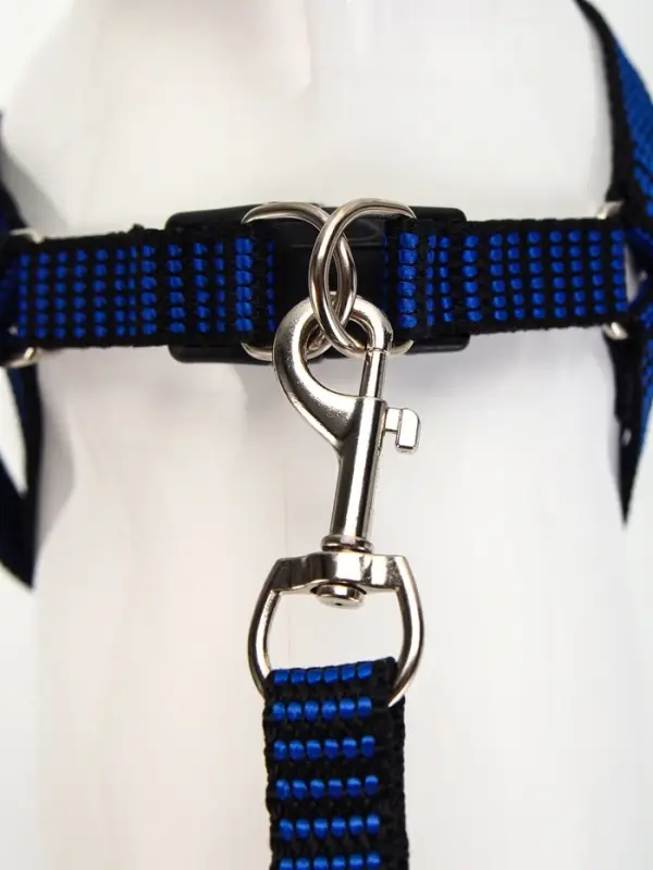 Шлейка с поводком, ОГ 36-49 см, ширина 1.5 см, поводок 120 см, рельефная, сине-чёрная