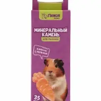 Минеральный камень для грызунов &laquo;Пижон&raquo;, морковка, 35 г