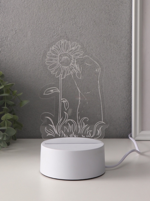 Светильник Светильник "Суслик и ромашка" LED RGB от сети RISALUX 9,5х10,1х17 см