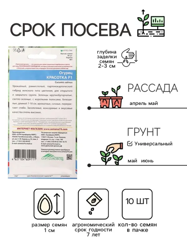 Семена Огурец  Семена Огурец "Красотка", F1, 10 шт