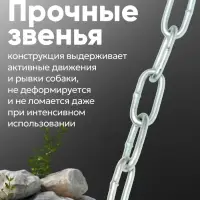 Цепь для привязи собак, 5 м, калибр 3&times;21 мм, белая