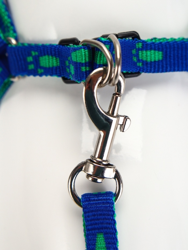 Комплект Комплект "Большая лапа", ширина 1 см, поводок 120 см, шлейка 25-36 см, сине-зелёный