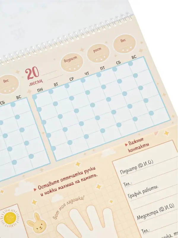 Календарь малыша, 13 стр. + планер + 12 ч/б карточек