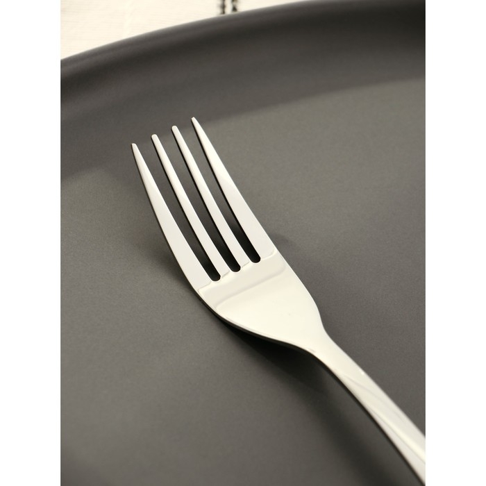 Вилка столовая из нержавеющей стали Magistro Bravo, длина 18,8 см, толщина 2 мм Вилка столовая из нержавеющей стали Magistro Bravo, длина 18,8 см, толщина 2 мм