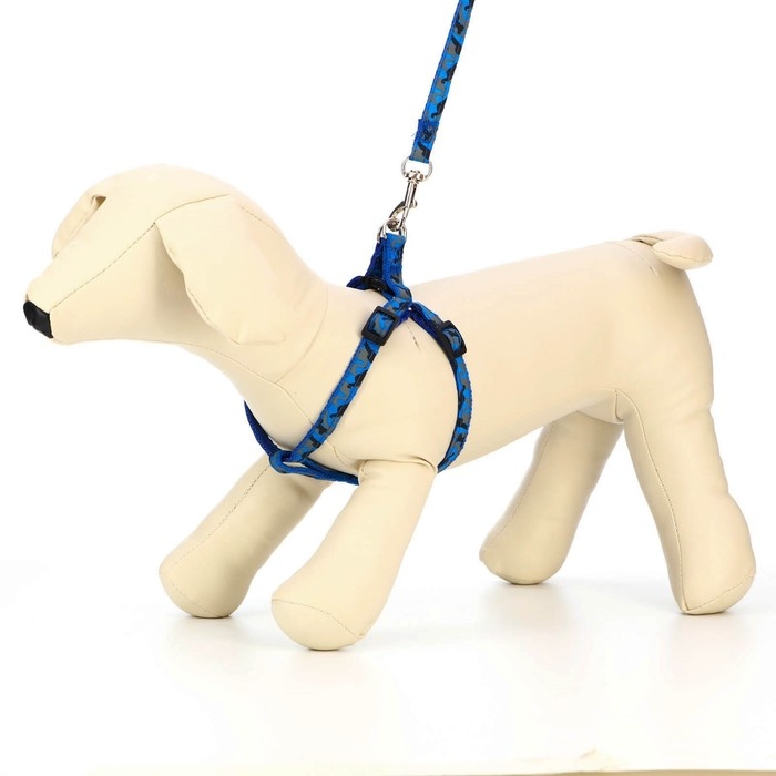 Комплект прошитый  Комплект прошитый "Милитари", ширина 1 см, поводок 120 см, шлейка 23-35 см, синий