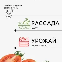 Семена Томат &laquo;Труфельдино красный&raquo;, 0.08 г, &laquo;Агрос&raquo;