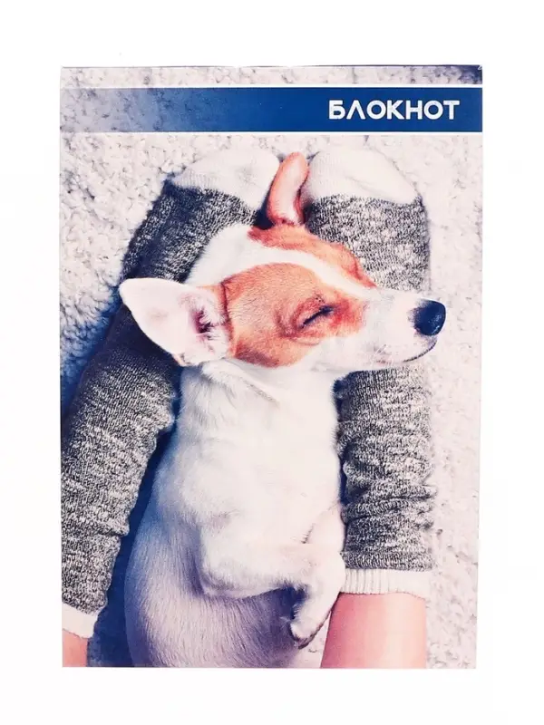 Набор блокнотов А6 40л кл на скобе Котята и щенята, мел карт, 4В 20шт