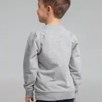 Свитшот Toima Kids 2.0, серый меланж, 14 лет