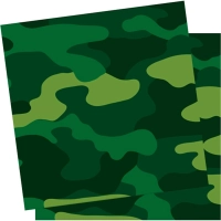 Салфетки бумажные Милитари 33X33см 12шт/уп арт.6046125