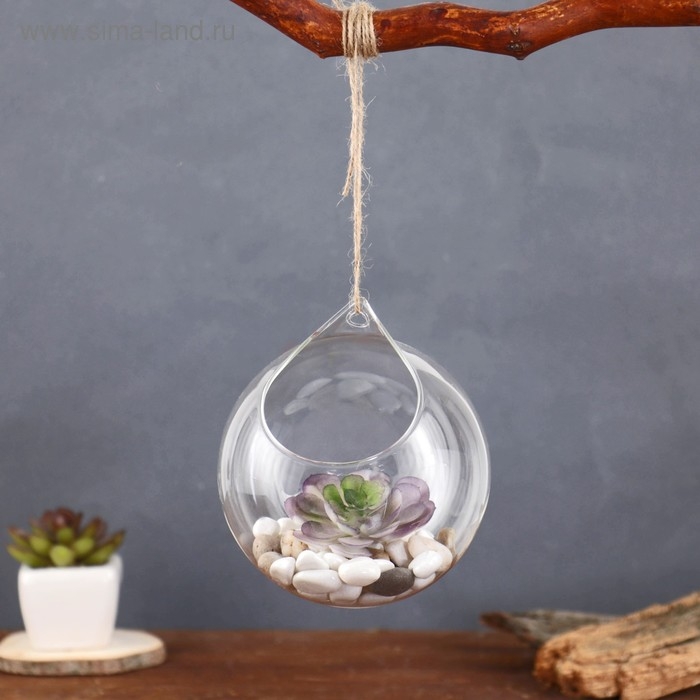 Флорариум "Шар капля" с верёвкой, 12х12х13 см
