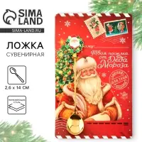 Ложка новогодняя с формовой ручкой «Твоя посылка от Деда Мороза», на Новый год, нержавеющая сталь, 2,6 х 14 см Ложка новогодняя с формовой ручкой «Твоя посылка от Деда Мороза», на Новый год, нержавеющая сталь, 2,6 х 14 см