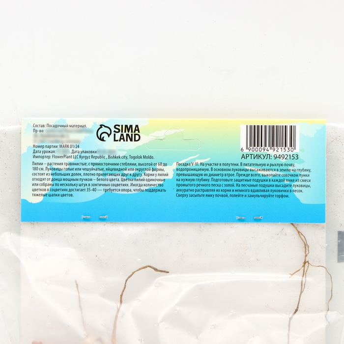 Лилия Восточная Кашпо Лилия Восточная Кашпо "Garden Party", р-р 12/14, 2 шт,