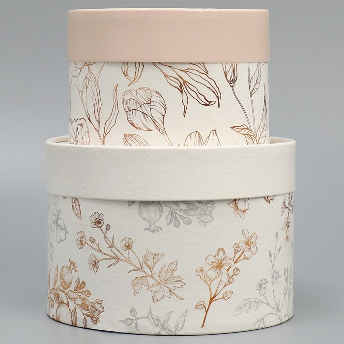 Набор шляпных коробок 2 в 1, упаковка подарочная, «Нежность», 16 х 11.5, 13 х 9 см Набор шляпных коробок 2 в 1, упаковка подарочная, «Нежность», 16 х 11.5, 13 х 9 см