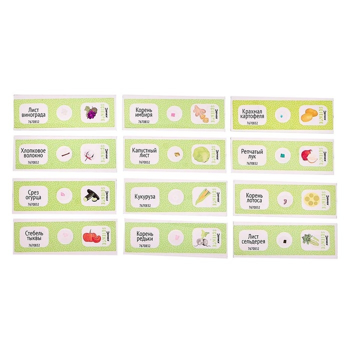 Набор для опытов «Набор микропрепаратов», растения Набор для опытов «Набор микропрепаратов», растения