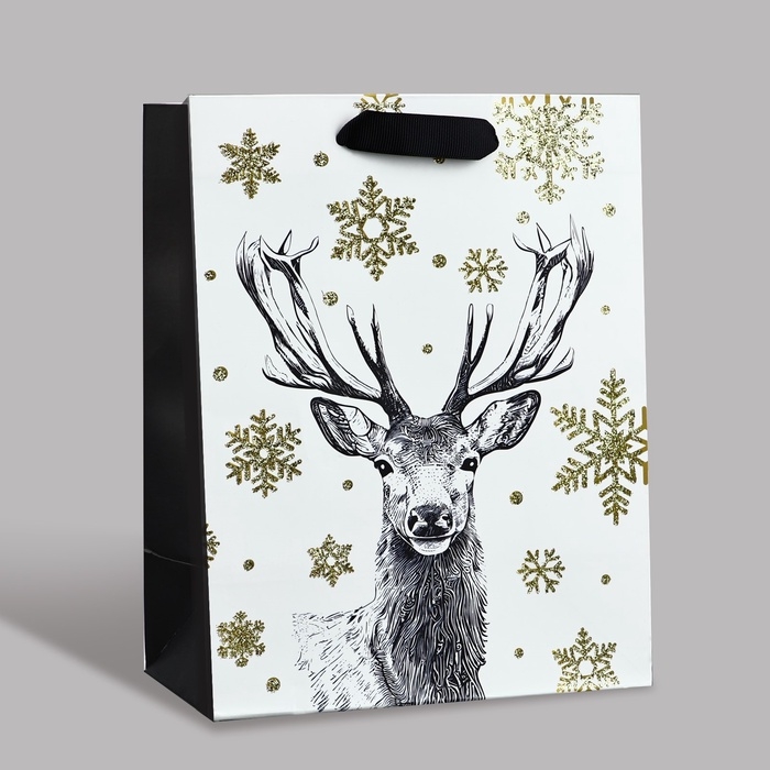 Пакет подарочный новогодний ламинированный «Новогодний лес», MS 23 x 18 х 10 см Пакет подарочный новогодний ламинированный «Новогодний лес», MS 23 x 18 х 10 см